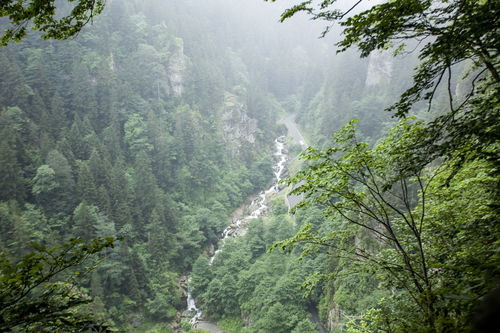 庐山的庐怎么组词