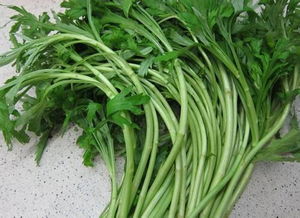 篙和蒿怎么组词语 篙和蒿怎么组词语