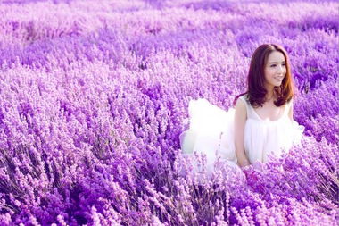 紫色的紫怎么组词 紫色的紫怎么组词