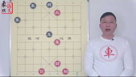 象棋的象要怎么组词呢 象棋的象要怎么组词呢