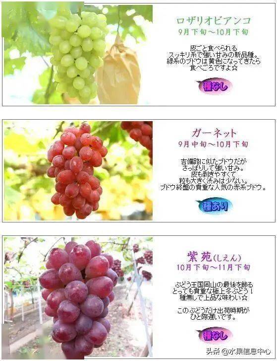 葡萄又怎么组词 葡萄又怎么组词