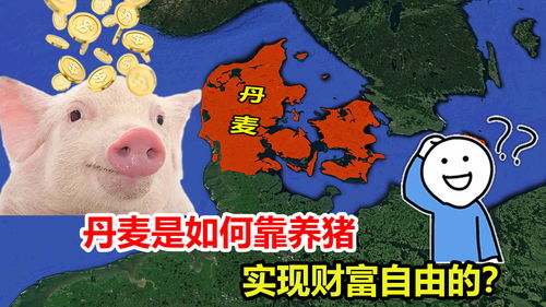 猪怎么叫怎么组词 猪怎么叫怎么组词