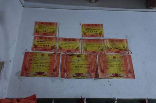 奖状的状字可以怎么组词 奖状的状字可以怎么组词