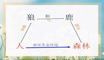 过多音字组词
