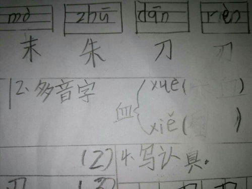 还字怎么组词