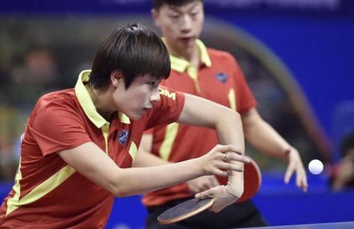 丁宁的林怎么组词