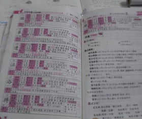 鹊的拼音偏旁组词怎么写