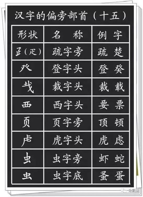 话字可以怎么组词