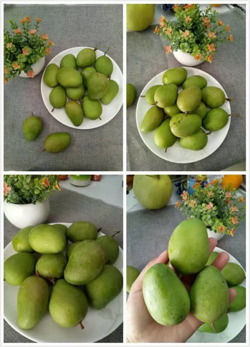 裹怎么组词水果的果