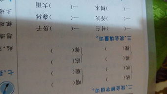 裻怎么组词