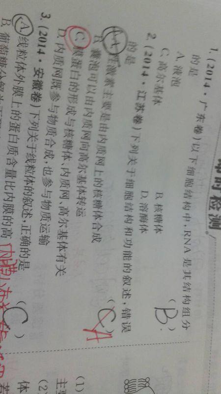 吱吱丫丫的知怎么组词