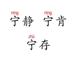 宁静的宁拧怎么组词