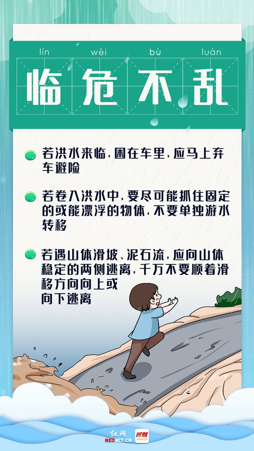 度你的你怎么组词