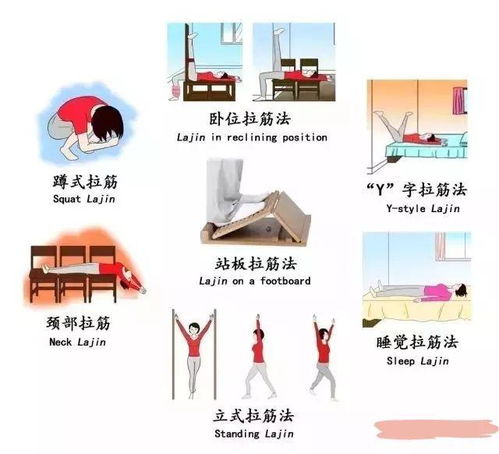 筋的组词有什么