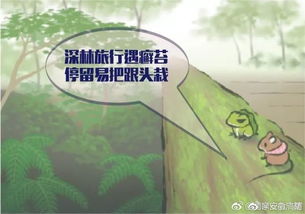 青蛙的的蛙怎么组词的简单介绍