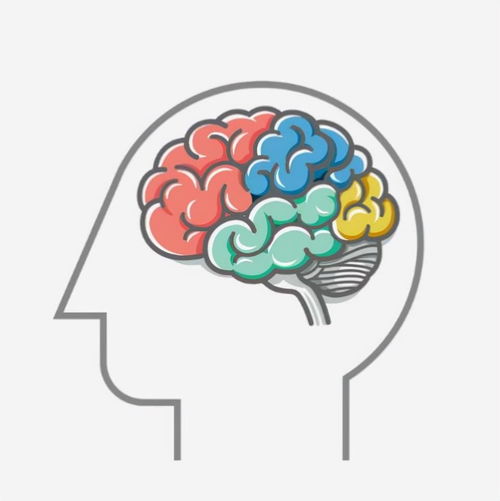 吃无除除怎么组词