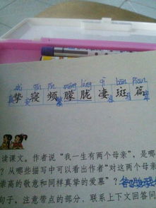 攻的拼音怎么组词 攻的拼音怎么组词