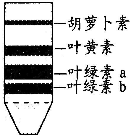 宽窄的窄怎么组词