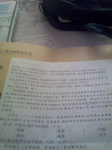 思字开头怎么组词