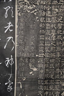 建设的建怎么组词