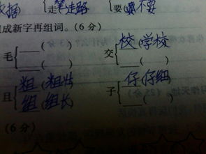 增加的增怎么组词