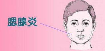 腮抓耳挠腮的腮怎么组词