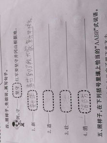 一条的条怎么组词