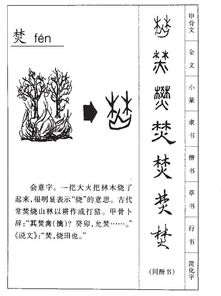焚字可以怎么组词