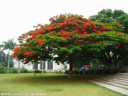 花坛的坛字可以怎么组词
