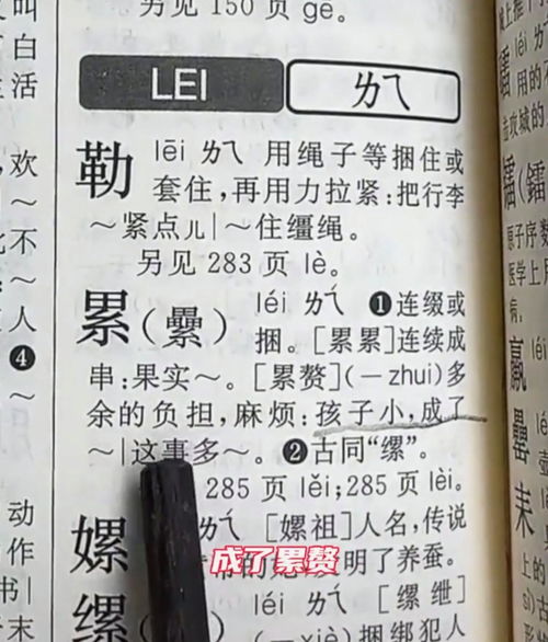 字典玩怎么组词