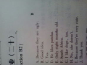 第一的英语怎么组词啊 第一的英语怎么组词啊