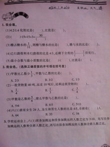 同怎么组词问 同怎么组词问