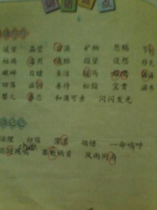 封字组词怎么组词