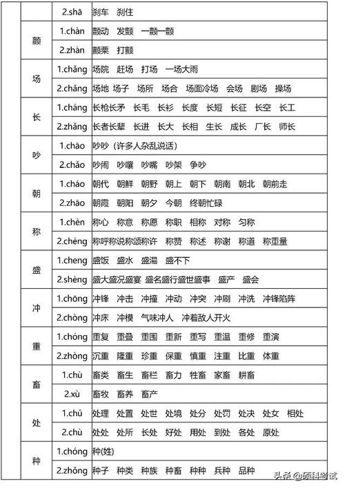 表的组词怎么读