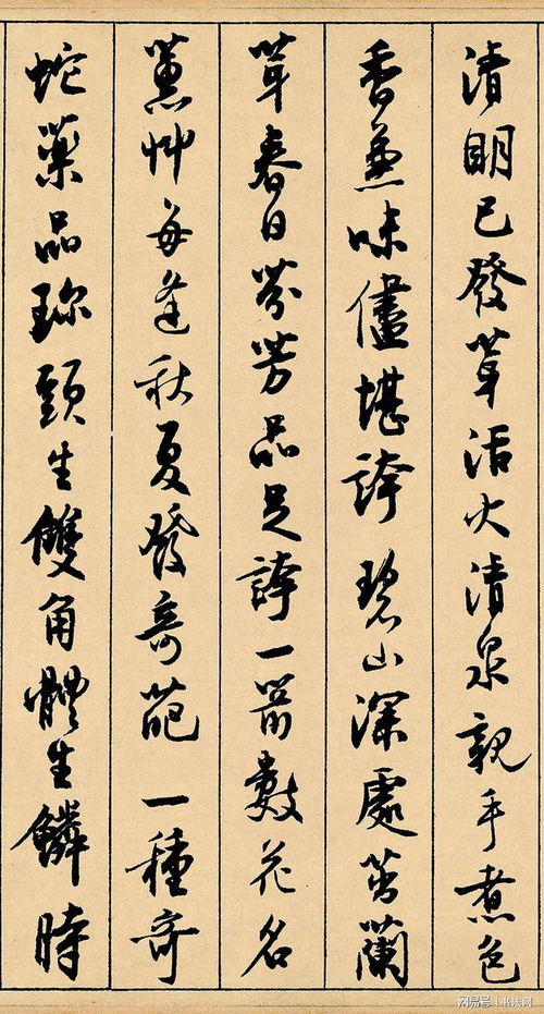 儒雅的庐怎么组词 儒雅的庐怎么组词