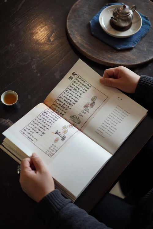 儒雅的庐怎么组词 儒雅的庐怎么组词