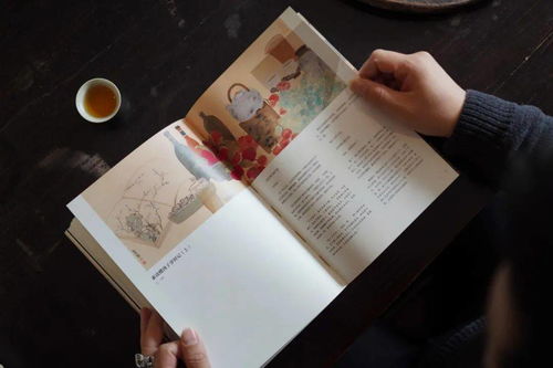 儒雅的庐怎么组词 儒雅的庐怎么组词