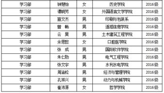 公共的功能怎么组词