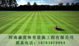 草坪的坪平怎么组词