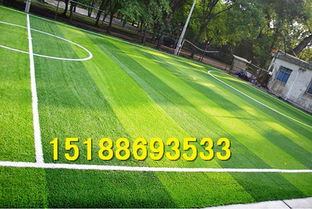 草坪的坪平怎么组词