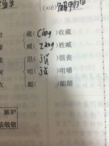 说这个是什么组词怎么写