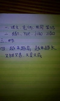 照样子照怎么组词