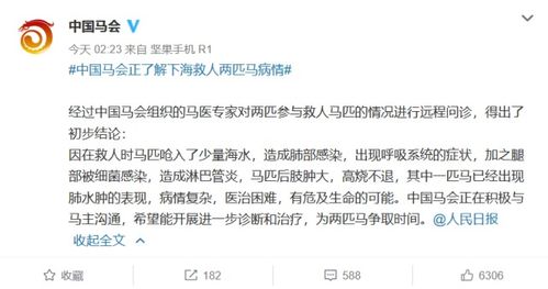 马和蔡怎么组词