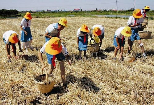 劳组词怎么 劳组词怎么