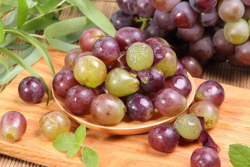 葡萄的汤可以怎么组词