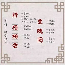 侍的姓氏怎么读怎么组词