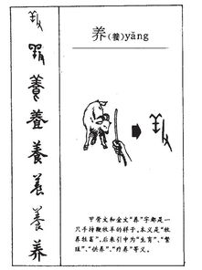 养殖可以怎么组词