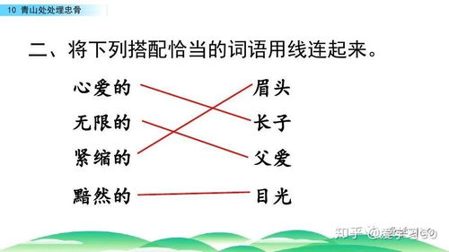 怎么用埋组词