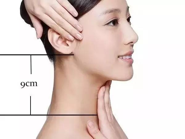 脖颈的颈可以怎么组词