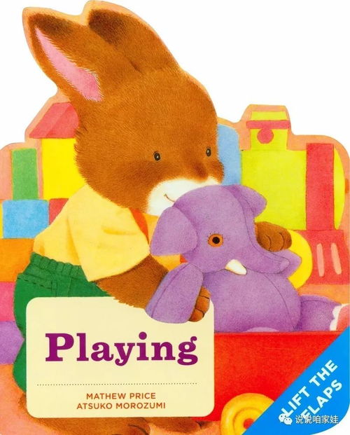 兔子的英语怎么组词呀 兔子的英语怎么组词呀